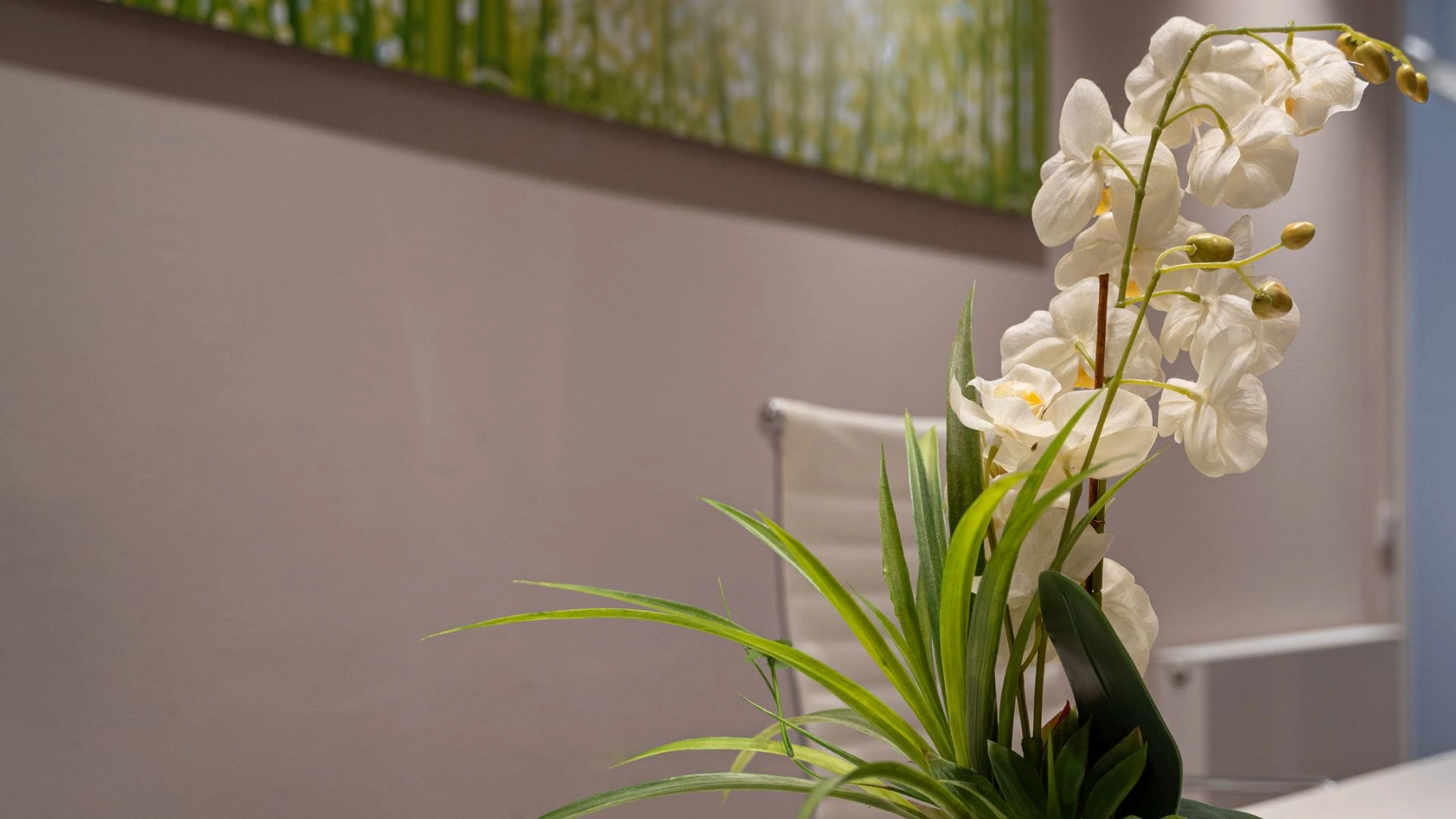 Blume-vom-Eingangsbereich-burnout-nuernberg-dr-phil-philipp